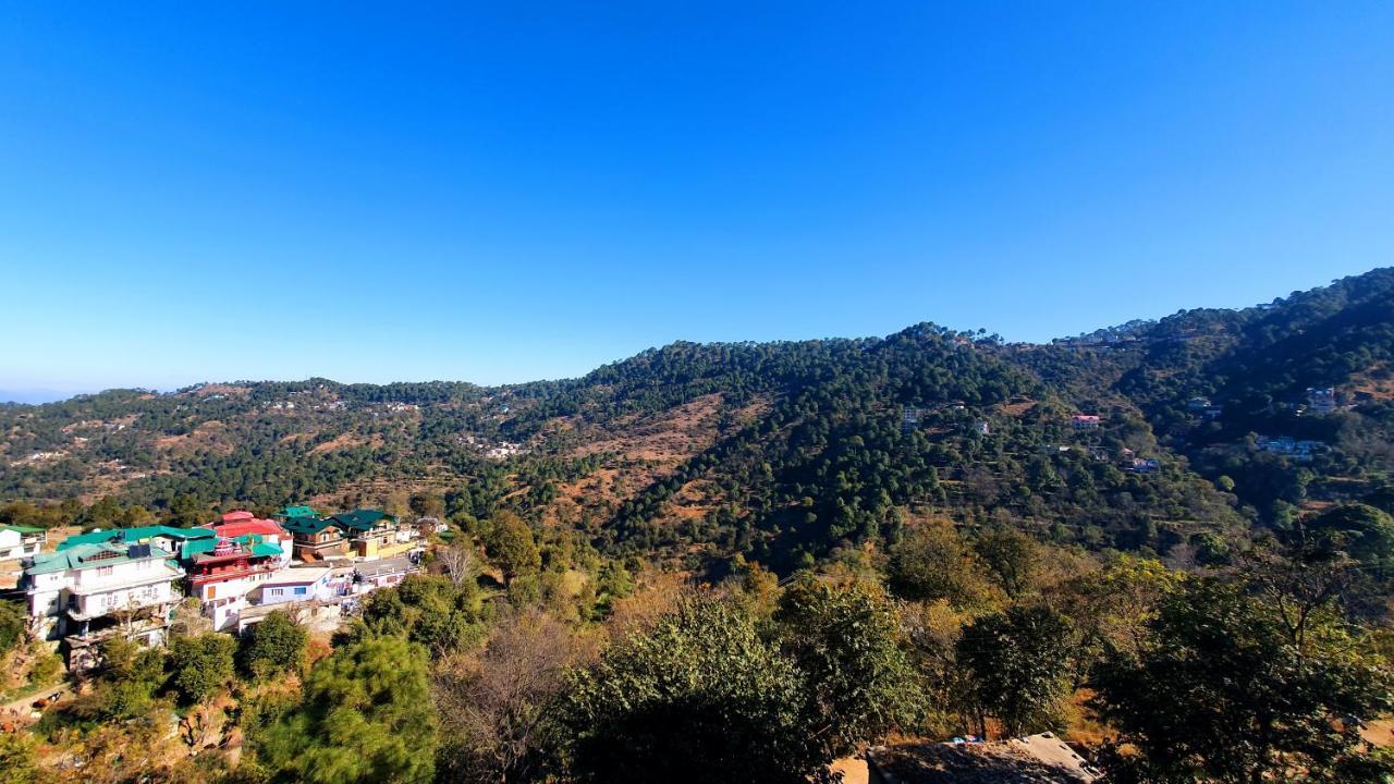 Bed and Breakfast Wildleaf Kasauli Valley Homz Екстер'єр фото